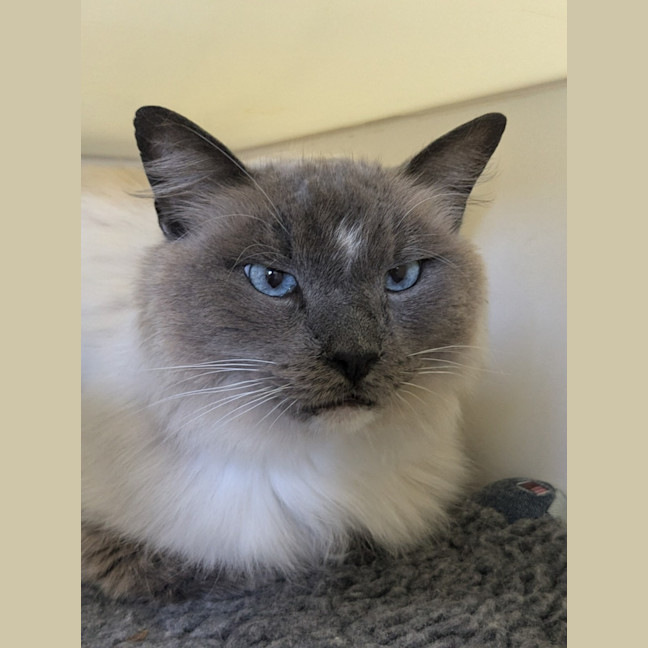 Photo of 🎇 Fiyero 5753 🎇