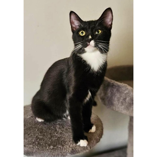 Photo of 11884   Pandora  