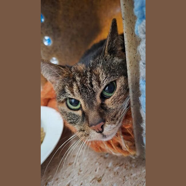 Photo of Dorothy