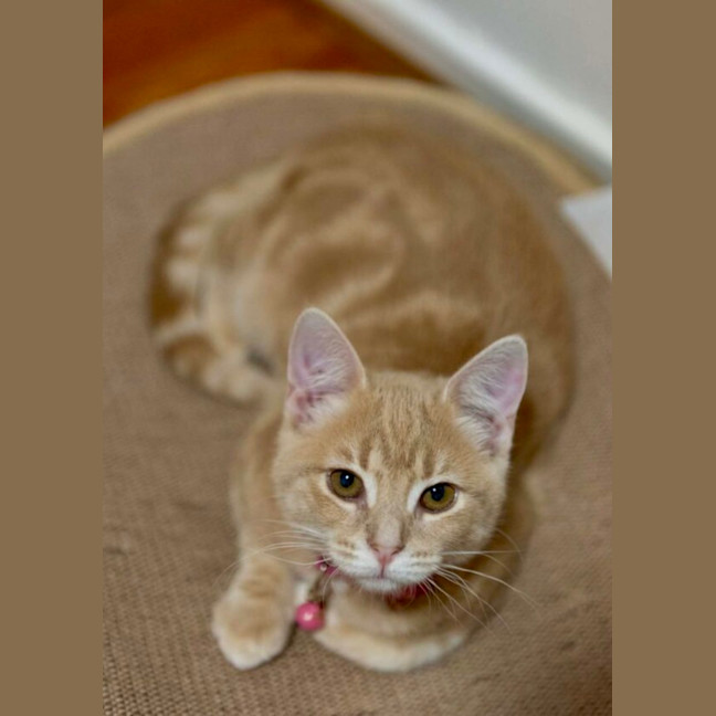 Photo of Tim Tam