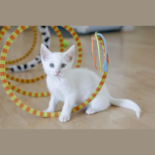 Photo of Lily