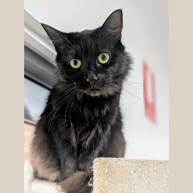 Photo of 🍓 Miriam 5923 🍓