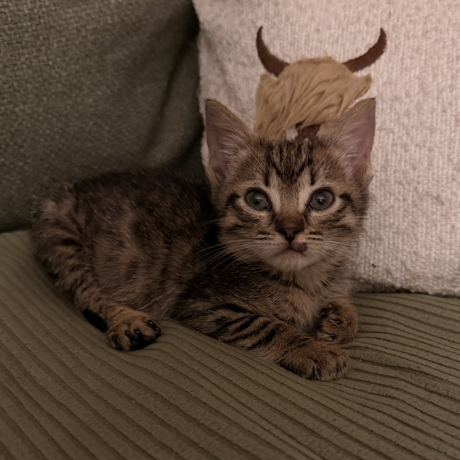 Photo of Hans