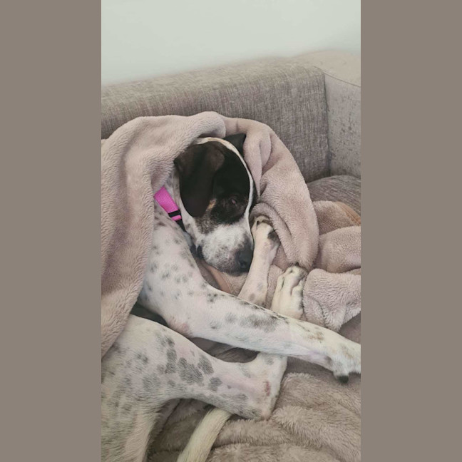 Photo of Missy
