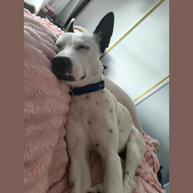Photo of Zeke
