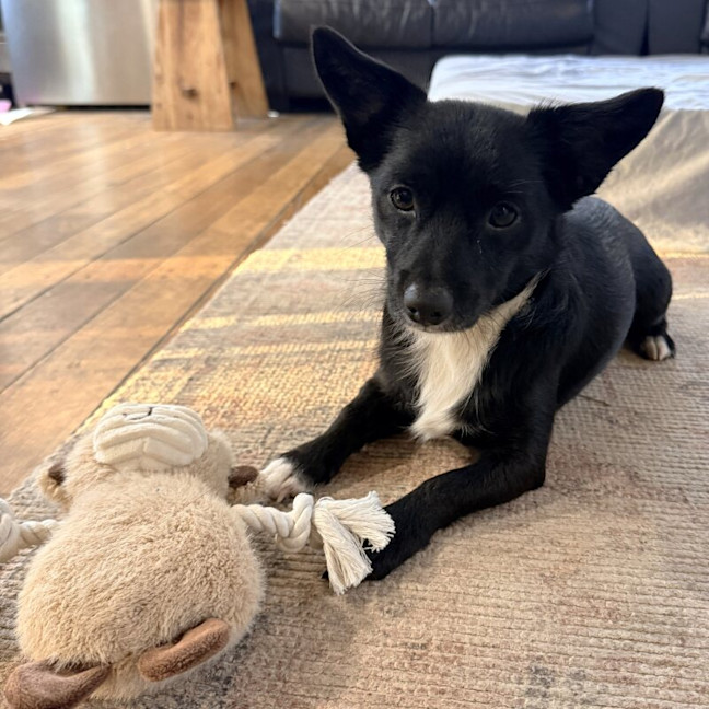 Photo of Charlie