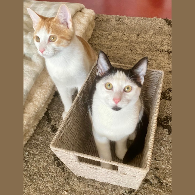 Photo of Zeb Sanderson