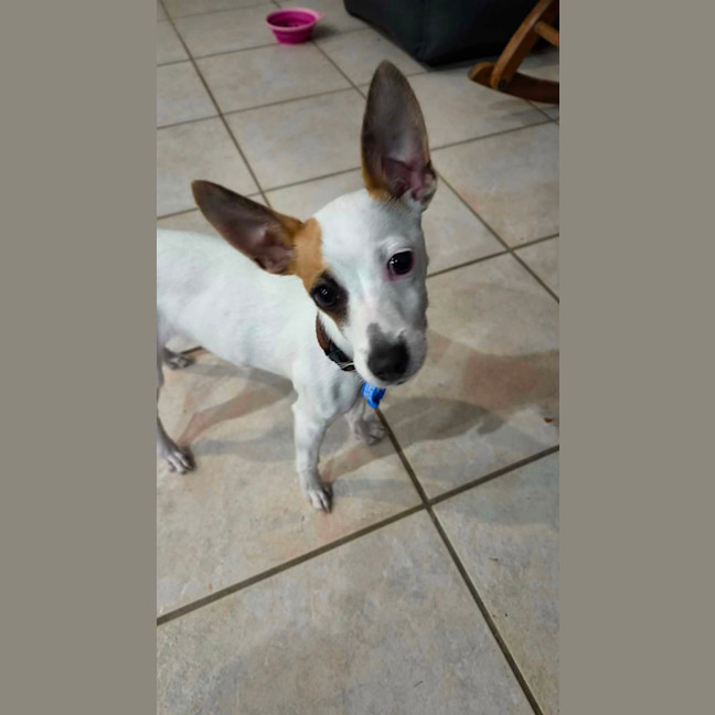 Photo of Lily