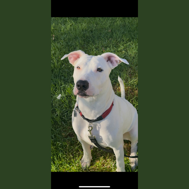 Photo of Wally