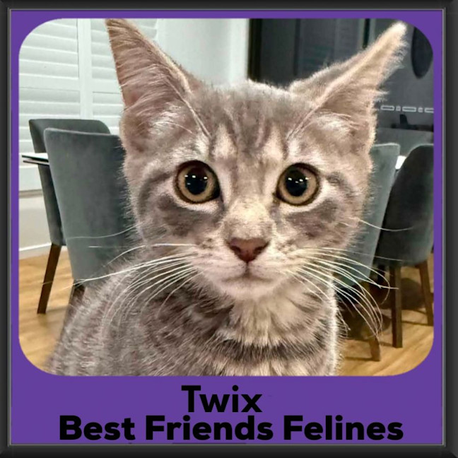 Photo of Twix