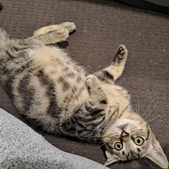 Photo of Rory