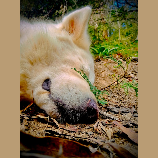 Photo of Holly