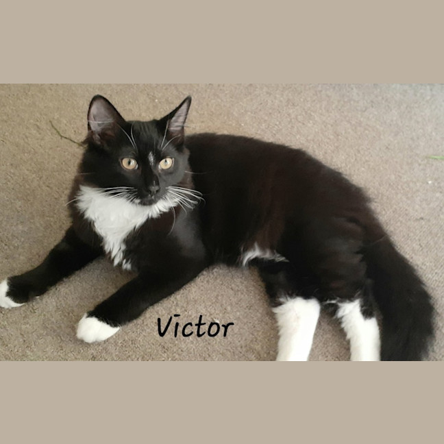 Photo of Victor 
