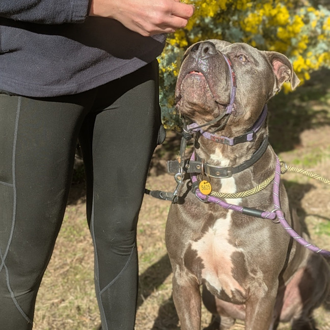 Photo of Zeus 