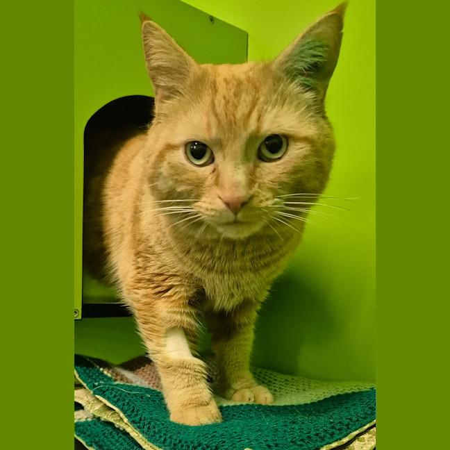Photo of Philip J Fry 
