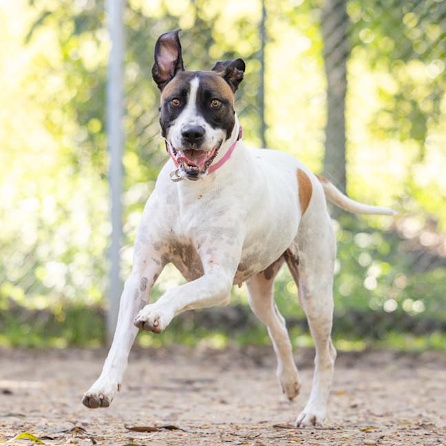 Photo of Bella