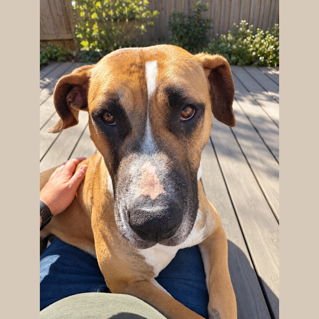 Photo of Delilah