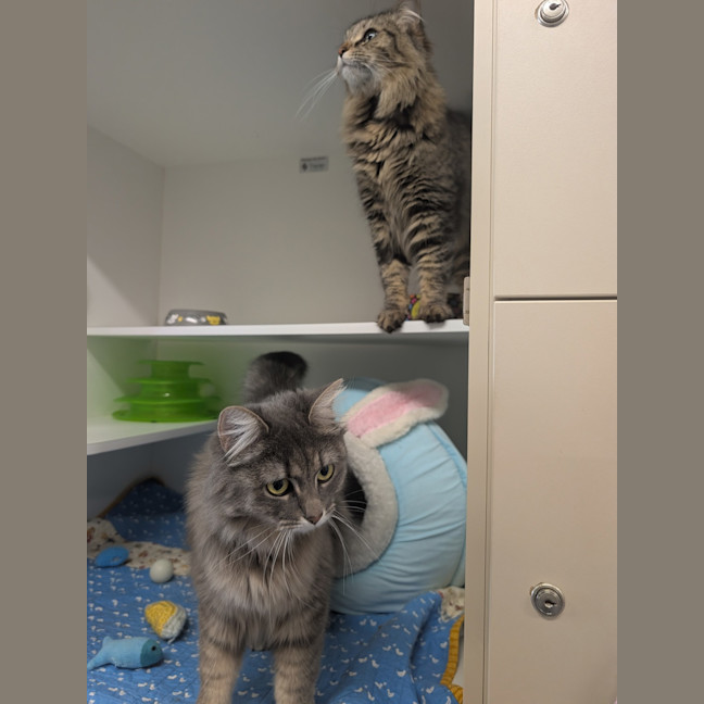 Photo of Bonny & Clyde