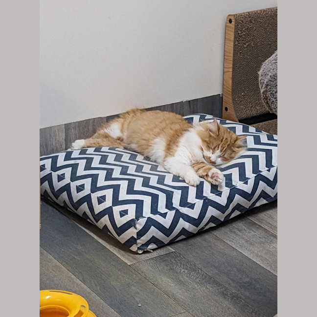 Photo of Sooki   Located In Preston 