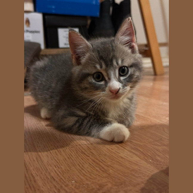 Photo of Emily