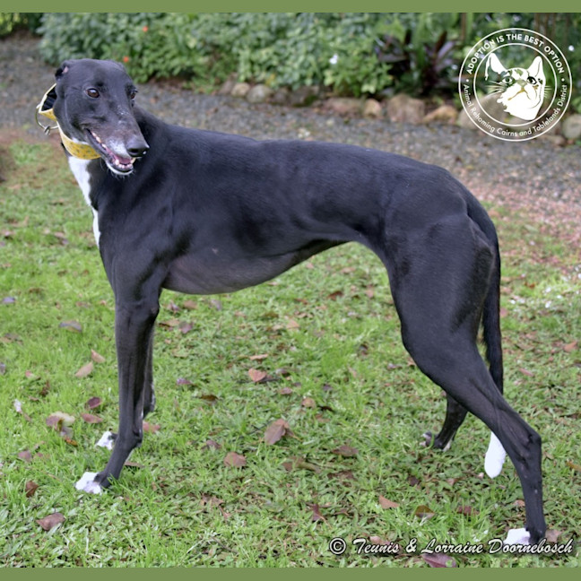 Photo of Charlotte (Jingalong Lottie)