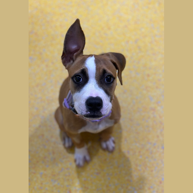 Photo of Isla