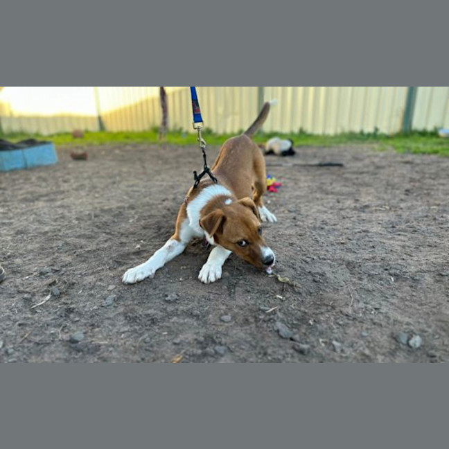 Photo of Latch