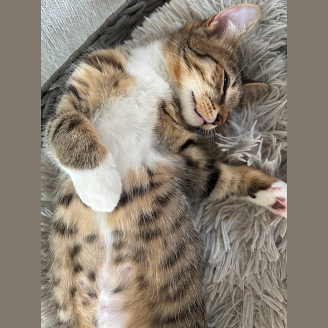 Photo of Boots