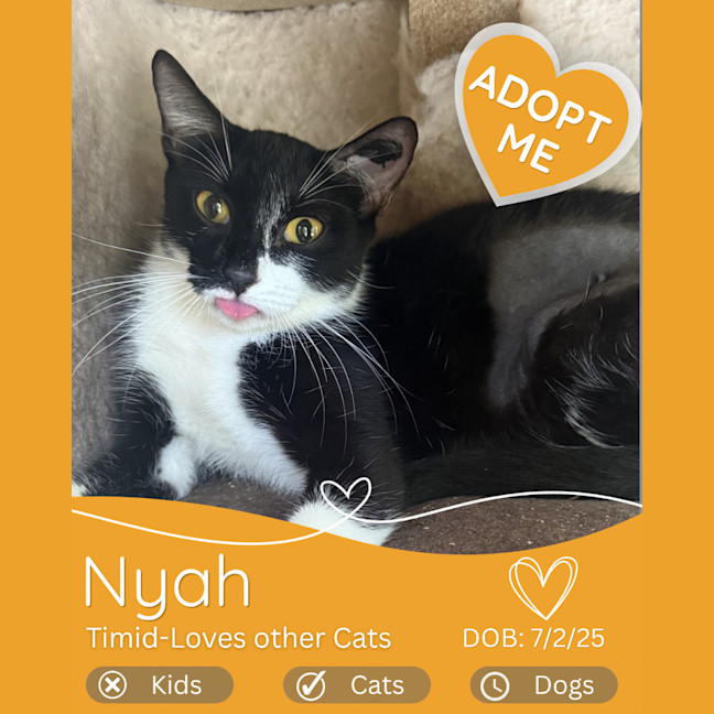 Photo of Nyah