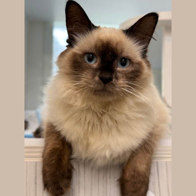Photo of Ekko