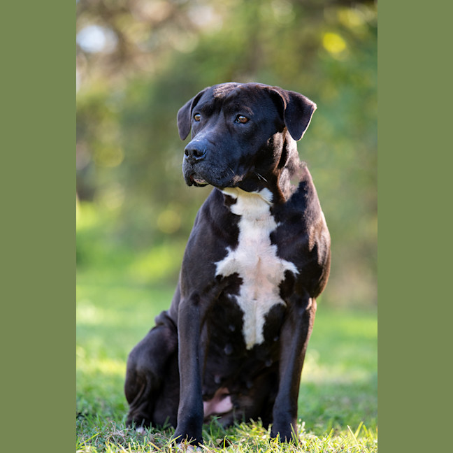 Photo of Roxy