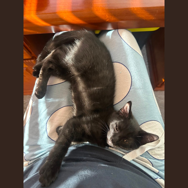 Photo of Pumpkin