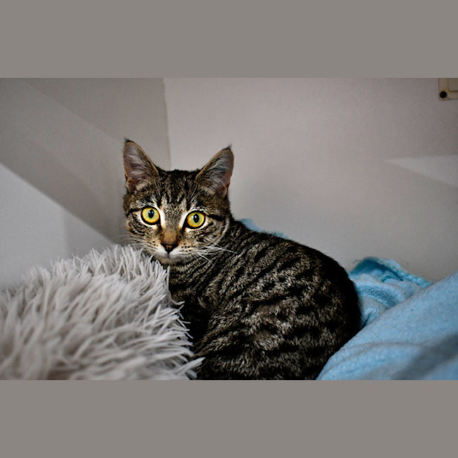 Photo of Doja