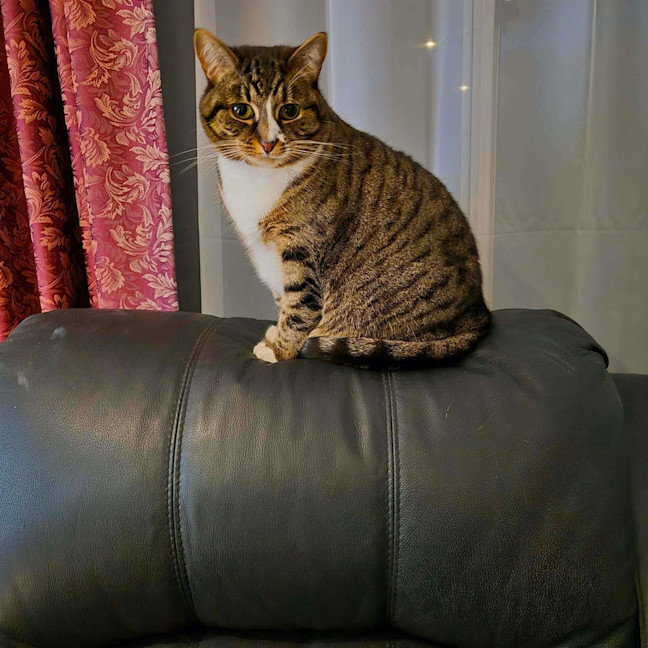 Photo of Toni