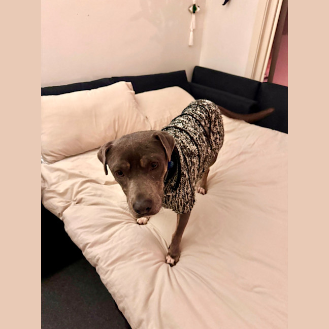 Photo of Sprout 🌱 