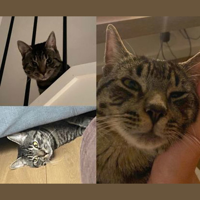 Photo of Atlas