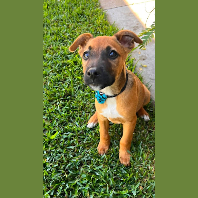 Photo of Tex