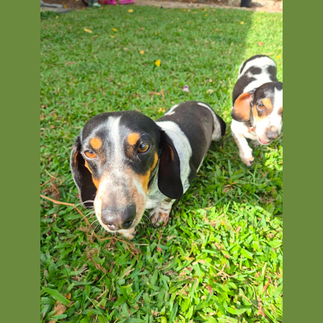 Photo of Bazz And Pitty