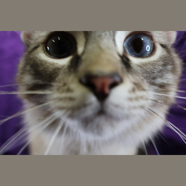 Photo of Cisco