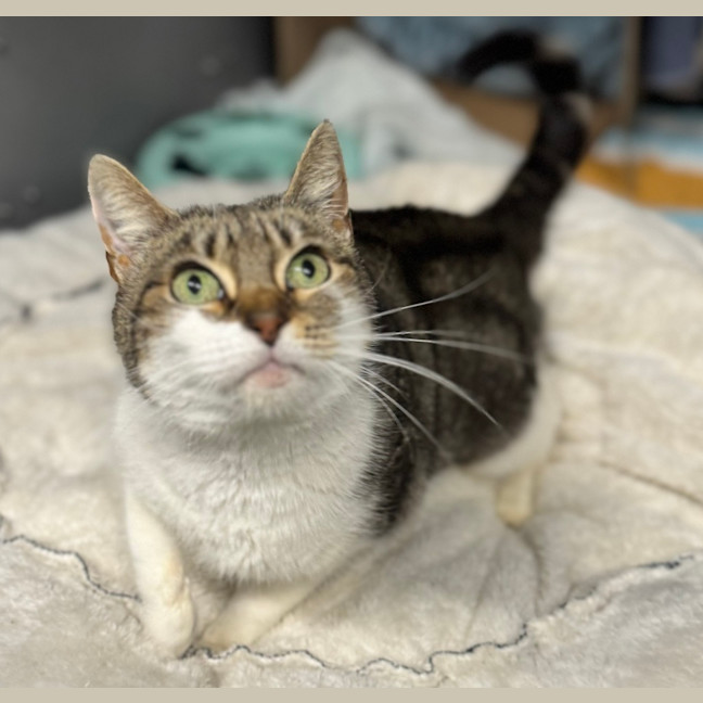 Photo of Nelly 