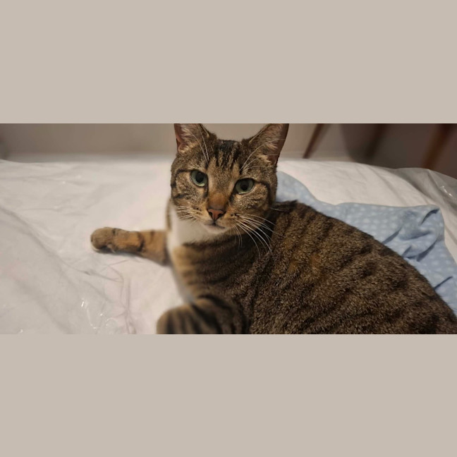 Photo of Tabitha