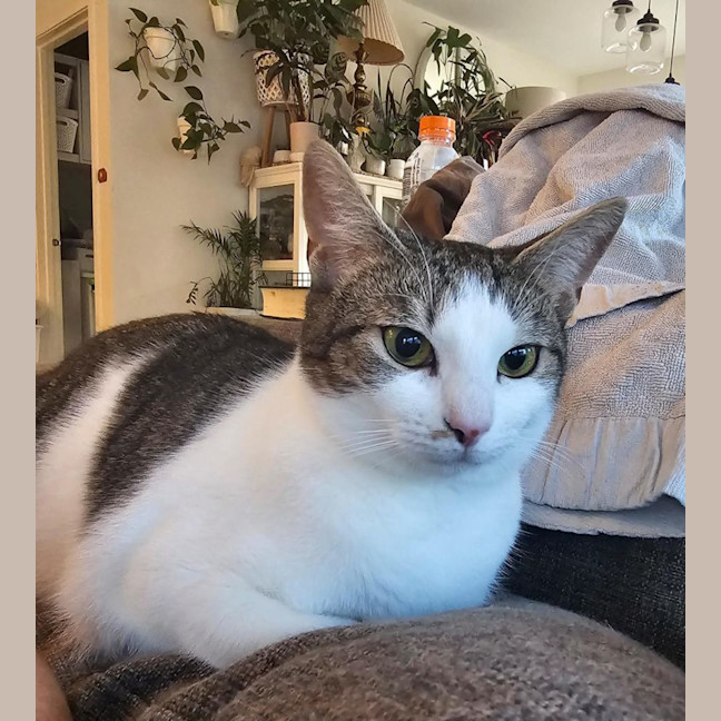 Photo of Pearl & Ruby