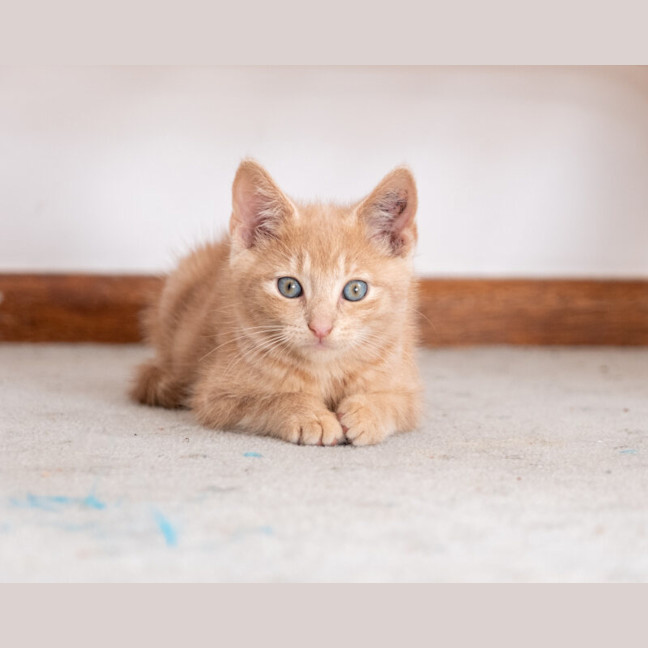 Photo of Bingo