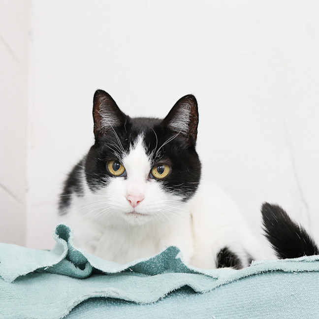 Photo of Matilda (Tilly) 