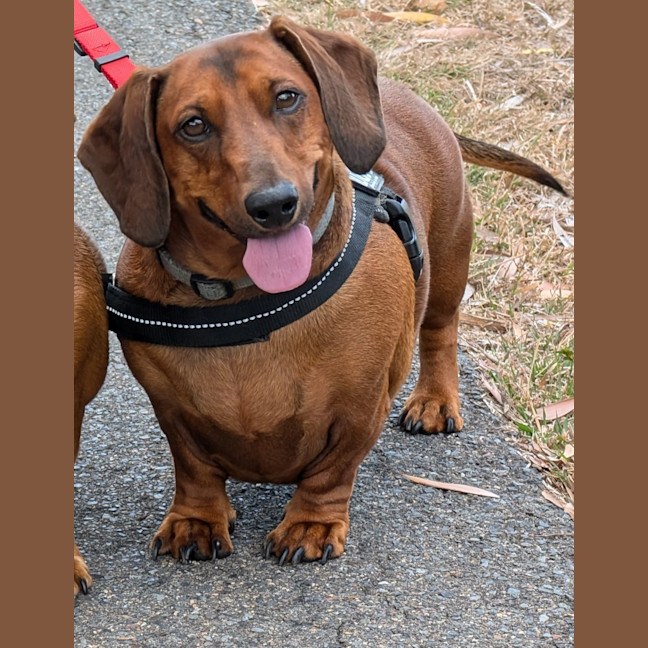 Photo of Harry / Sally