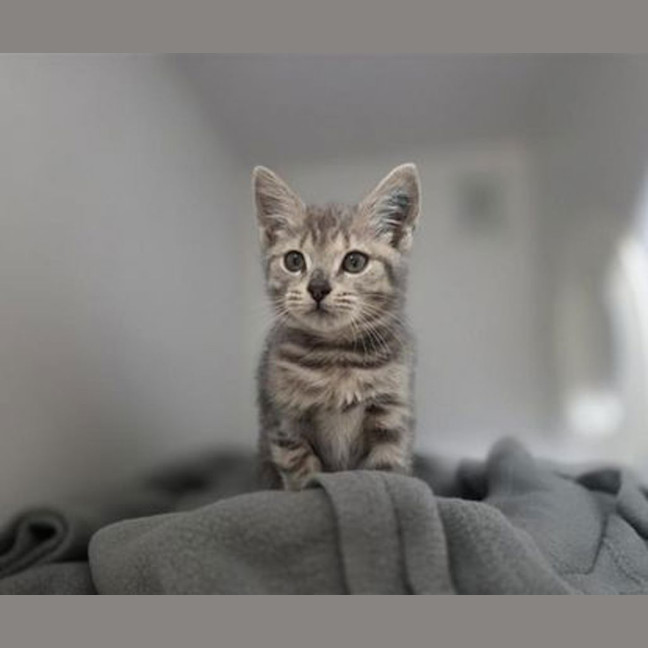 Photo of Malu