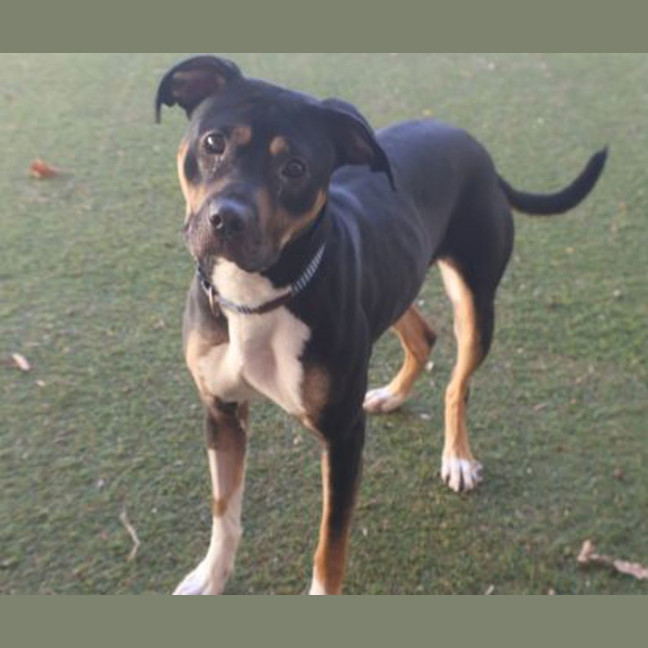 Photo of Athena