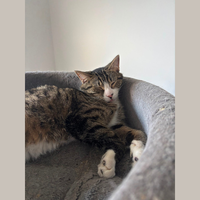 Photo of Normie 💙 (Waiting For Over 455 Days 😿)