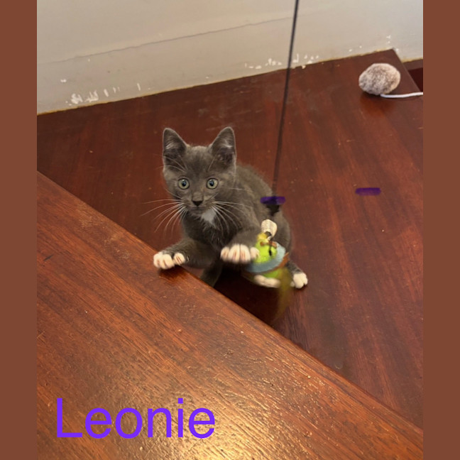 Photo of Leonie❤️