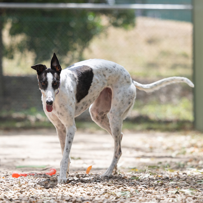 Photo of Maggie